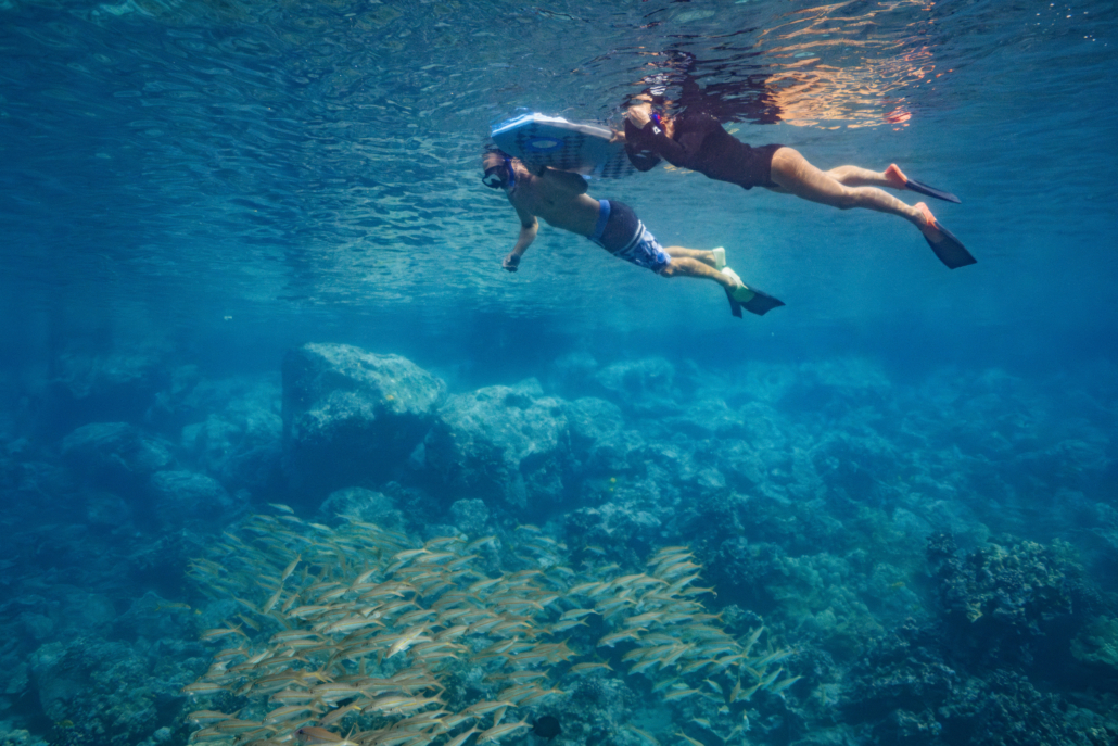 Fair Wind Afternoon Tour Couple Snorkeling Over School Of Fish
