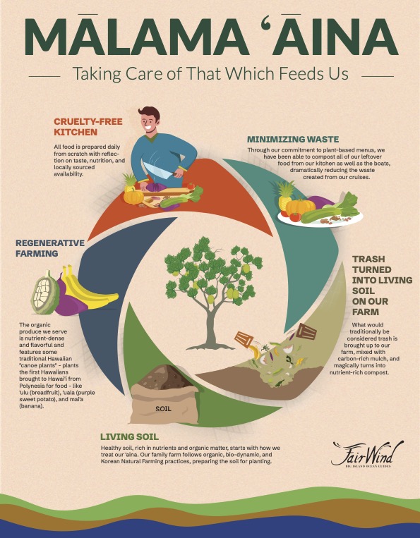 FW regenerative food process graphic design for posters main file