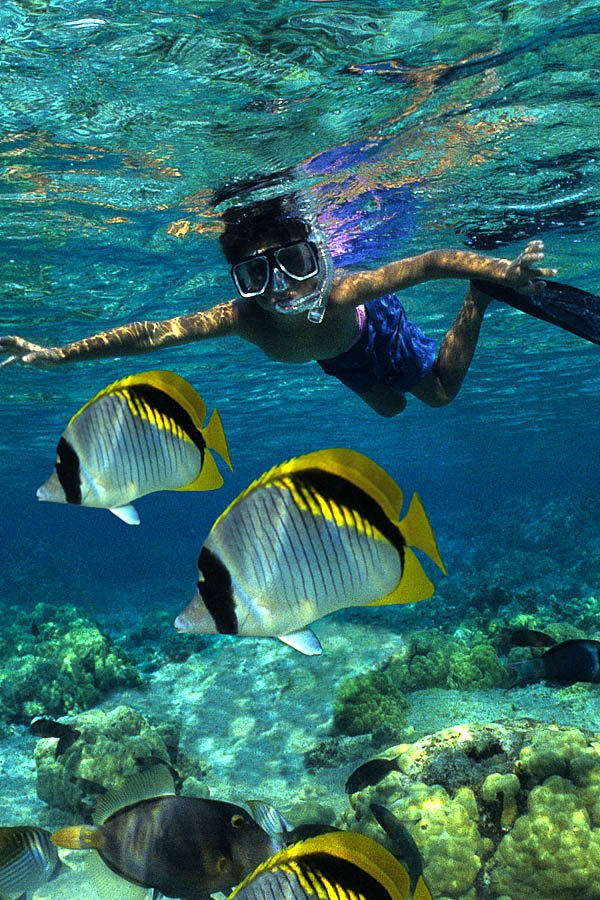 Image result for snorkeling picture