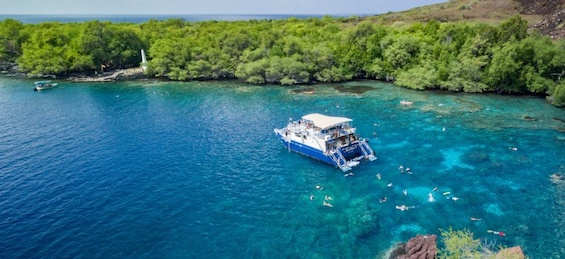 Morning Kealakekua Snorkel Tour