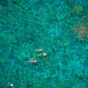 Afternoon Snorkeling in Kona