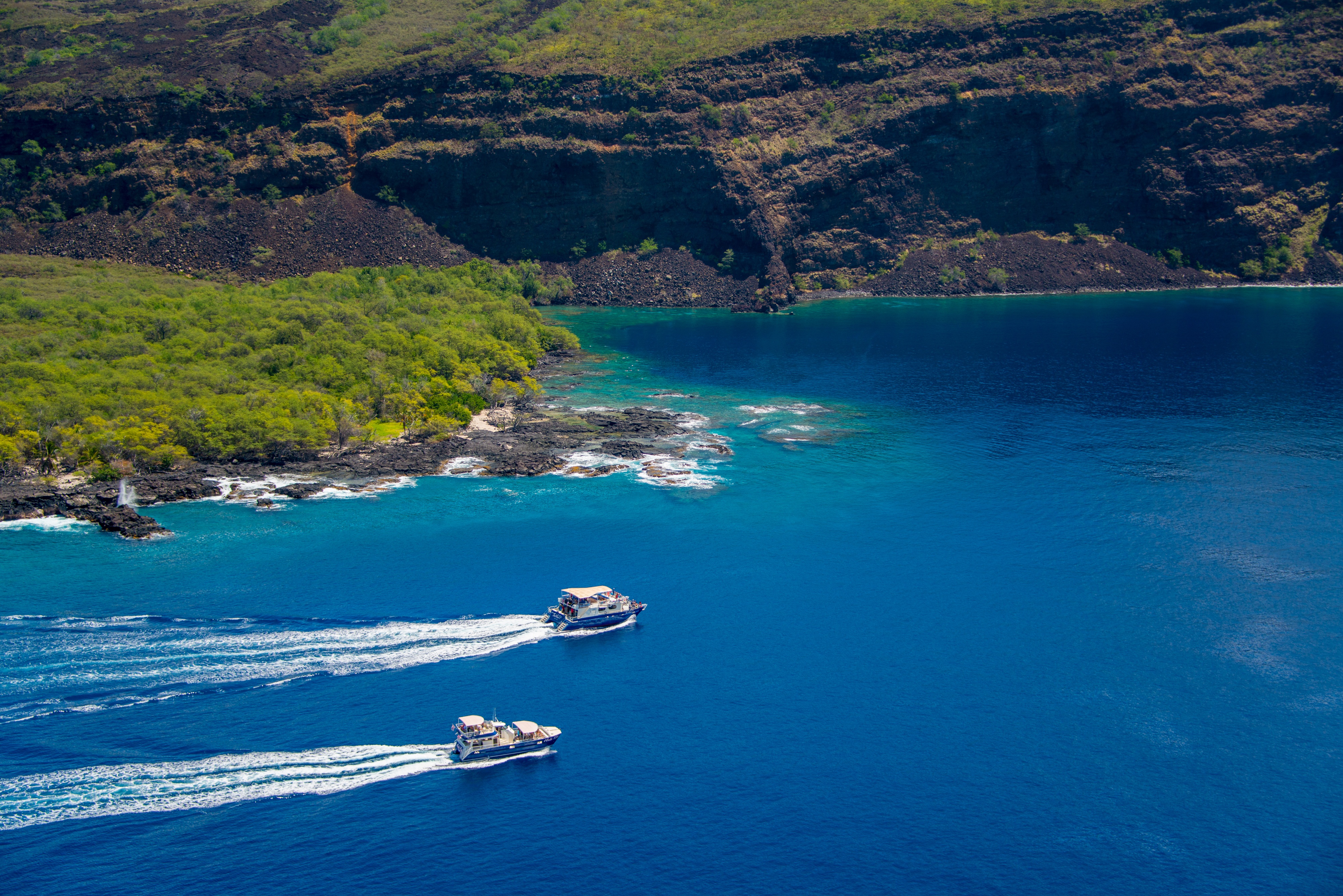 Afternoon Kealakekua Snorkeling Tour