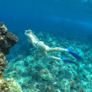 Hula Kai Snorkeler