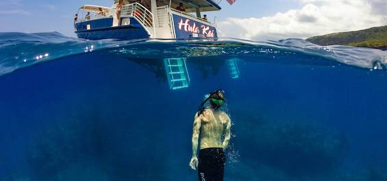 Kona Coast Snorkel Tour