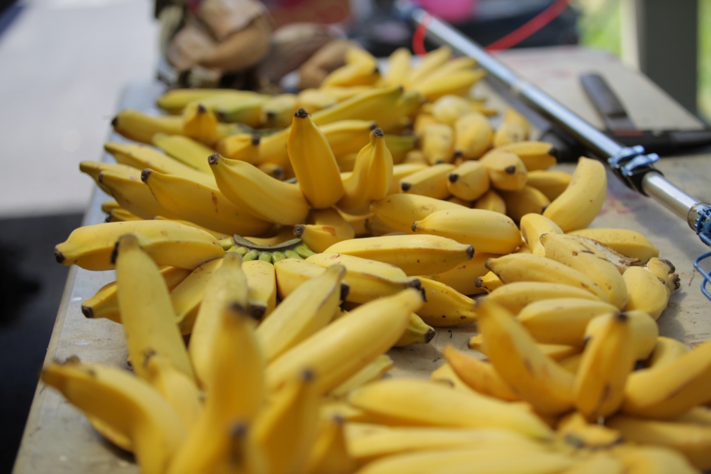 A table full of ripe bananas at Kalakupua Farms