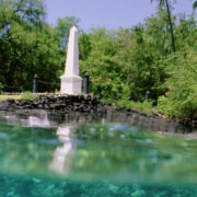 Captain Cook snorkeling