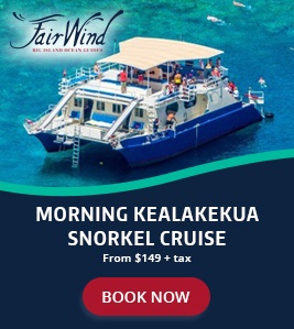 Morning Kealakekua Snorkel Graphic
