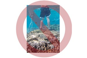 No Touching The Marine Life