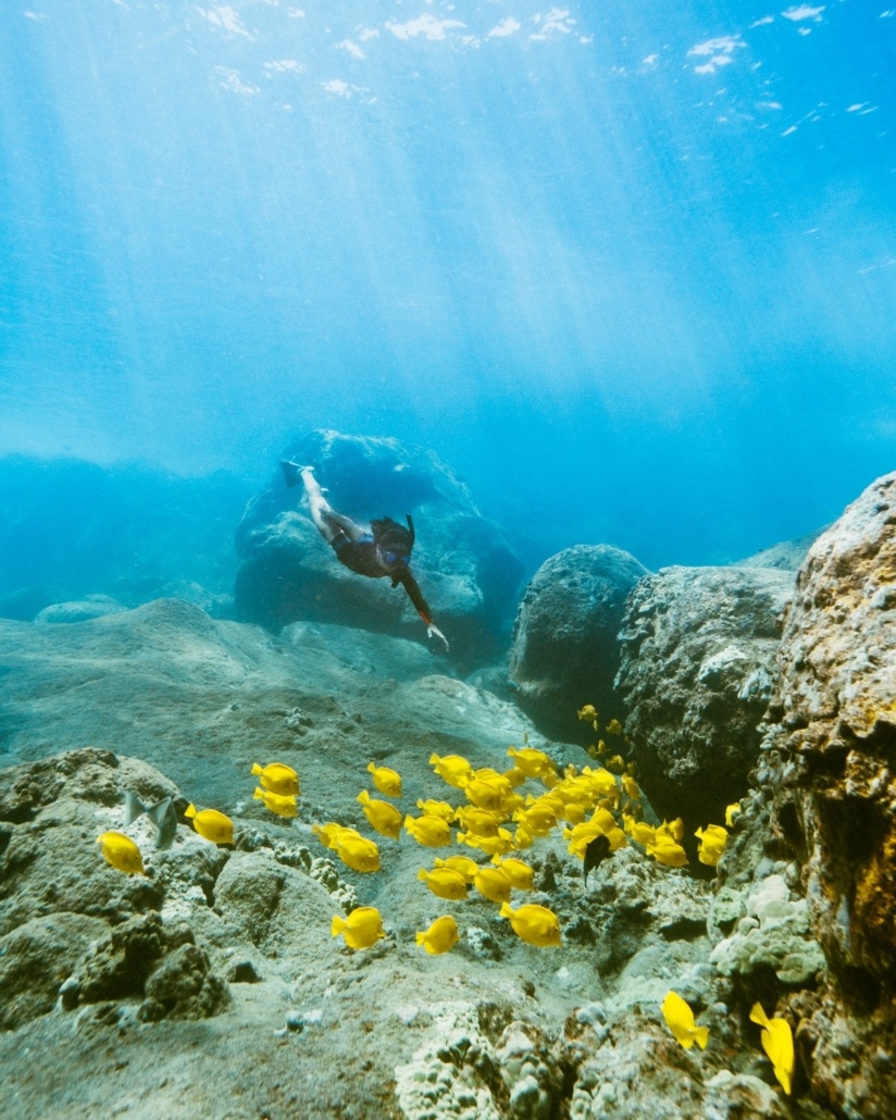 Snorkeling Kona Tours at Lucille Minor blog